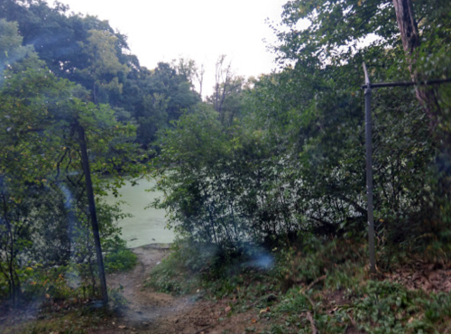 A path leads to a pond covered in green algae, surrounded by trees and a fence.