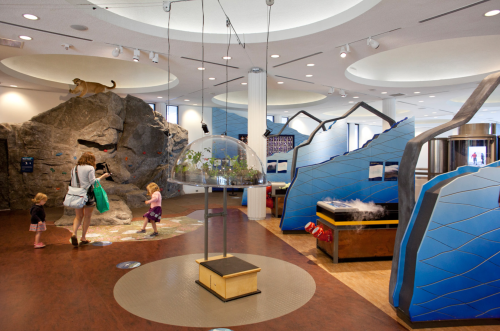 A museum exhibit featuring a rock formation, interactive displays, and children exploring the space with an adult.