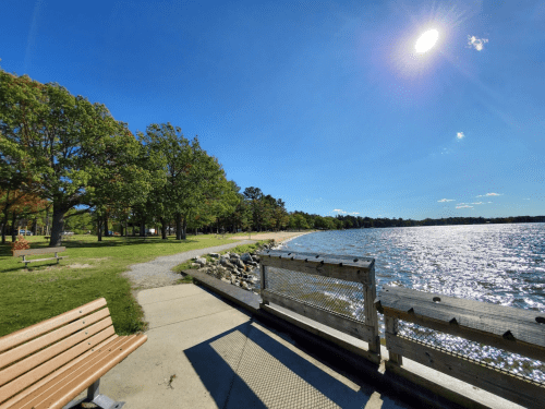 A sunny lakeside park with a bench, trees, and a shimmering water view under a clear blue sky.