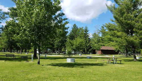 A sunny park scene with green grass, trees, picnic tables, and a brown building in the background under a blue sky.