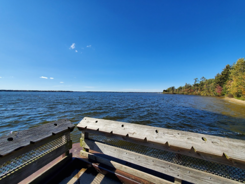 A serene view of a lake under a clear blue sky, with trees lining the shore in the distance.
