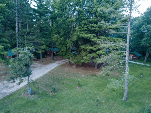 Aerial view of a wooded area with cabins and a gravel path surrounded by tall trees and green grass.