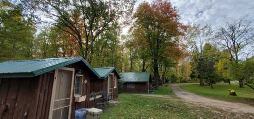 A row of rustic cabins surrounded by colorful autumn trees and a gravel path in a serene forest setting.