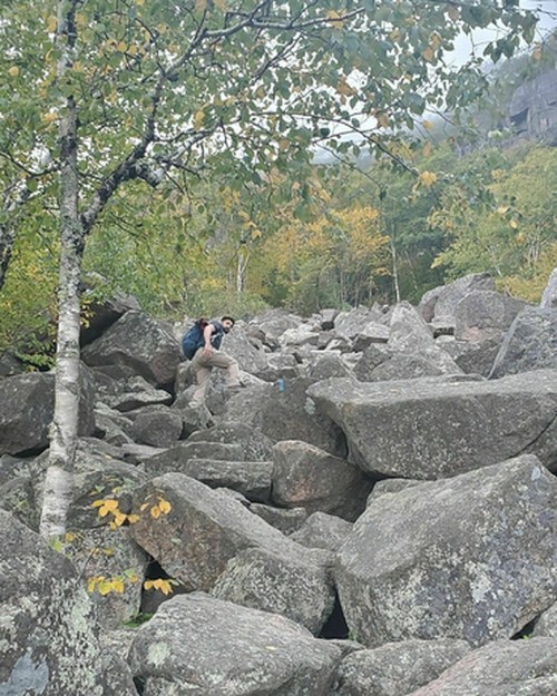 A person sits on large rocks in a forested area with trees and autumn foliage in the background.