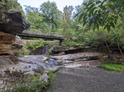 A serene landscape featuring a rocky creek, lush greenery, and a wooden bridge in the background.