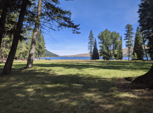 A serene lake view surrounded by tall trees and a grassy area under a clear blue sky.