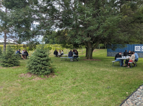 People sitting at picnic tables under trees in a grassy area, enjoying a gathering or meal outdoors.