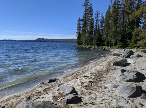 A serene lakeside scene with sandy beach, clear water, and tall trees under a blue sky.