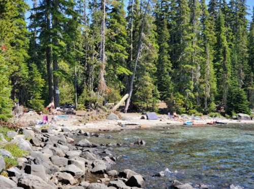 A serene lakeside scene with rocky shore, surrounded by tall trees and people enjoying the beach in the background.