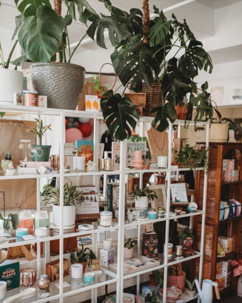 A bright shop interior featuring a white shelving unit filled with various plants, candles, and decorative items.