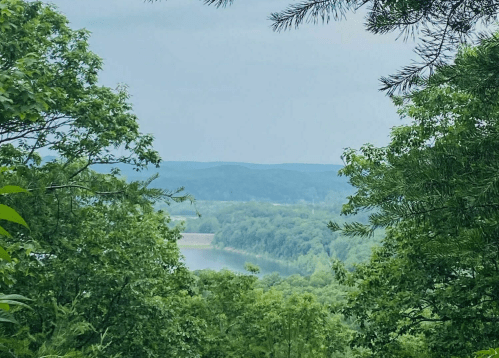 A scenic view of a lake surrounded by lush greenery and distant hills under a cloudy sky.