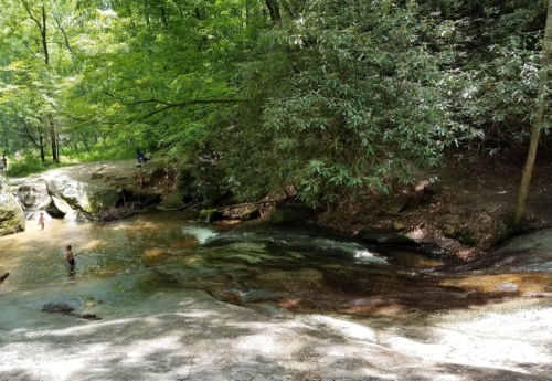A serene forest scene with a shallow stream and people enjoying the water among lush green trees.