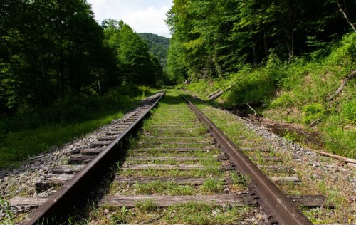 A view of overgrown railway tracks surrounded by lush green trees and hills under a clear blue sky.