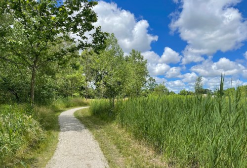 A winding path through lush greenery under a bright blue sky with fluffy clouds.
