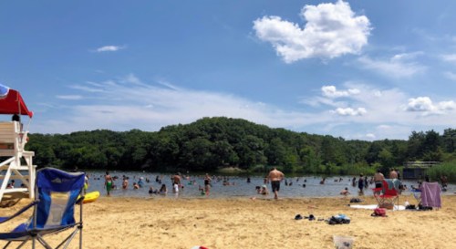 A sunny beach scene with people swimming and relaxing by the water, surrounded by trees and blue skies.
