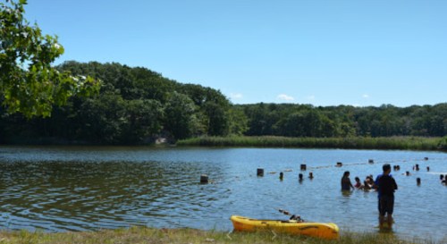 A sunny day at a lake with people swimming and a yellow kayak on the shore, surrounded by trees and greenery.