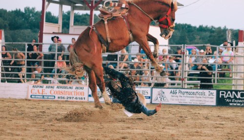 A cowboy falls off a rearing horse during a rodeo event, with spectators watching in the background.