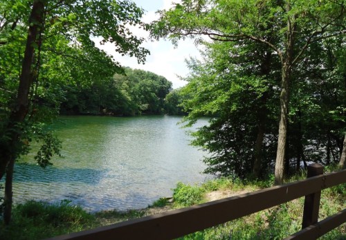 A serene lake surrounded by lush green trees under a clear sky, with a wooden railing in the foreground.