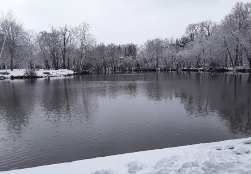 A serene winter scene of a river surrounded by snow-covered trees and a cloudy sky.