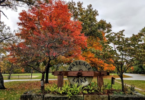 Sign for Wallace Lake surrounded by vibrant autumn trees with red and orange leaves. Overcast sky in the background.