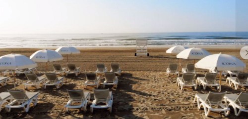Beach scene with lounge chairs and umbrellas, overlooking calm waves and a clear sky.