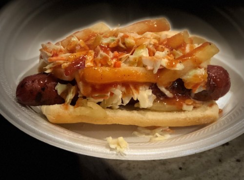 A hot dog in a bun topped with coleslaw, French fries, and a drizzle of sauce, served on a paper plate.