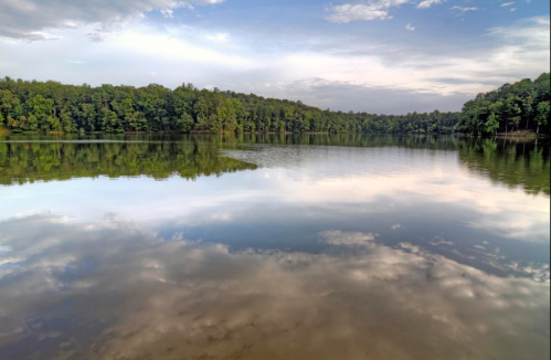 A serene lake surrounded by lush green trees, reflecting the sky and clouds above.