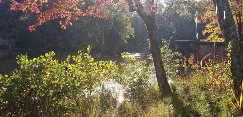 A serene river scene with autumn foliage, reflecting sunlight, and a stone structure in the background.