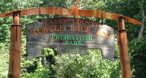 Sign for Essex County Turtle Back Zoo's Prehistoric Park, featuring wooden design and green and orange lettering.
