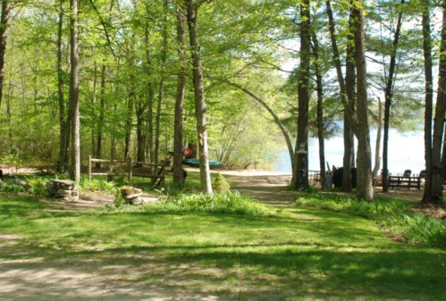 A serene forest scene with trees, a path leading to a lake, and a small gathering area with stone seating.