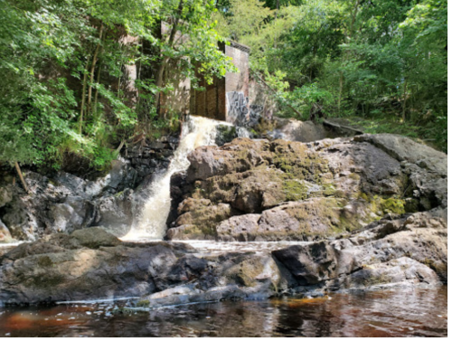 A serene waterfall cascading over rocks, surrounded by lush greenery and trees in a peaceful natural setting.