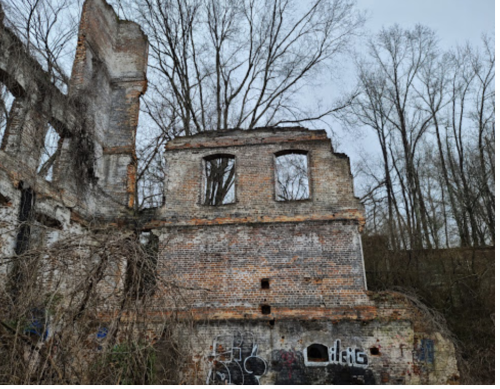 Ruins of a brick building covered in vines and graffiti, surrounded by bare trees against a cloudy sky.