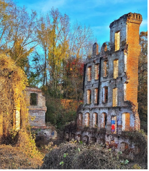 Ruins of a brick building surrounded by overgrown vegetation and trees under a clear blue sky.