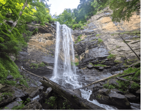 A serene waterfall cascades down rocky cliffs, surrounded by lush greenery and a tranquil stream below.