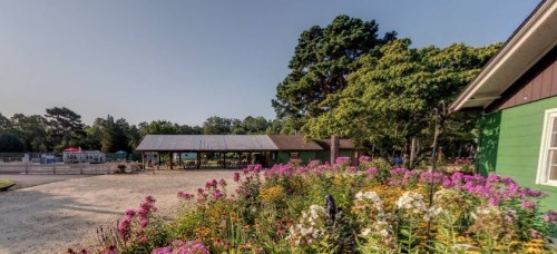 A vibrant garden with colorful flowers in the foreground, featuring a rustic building and trees in the background.