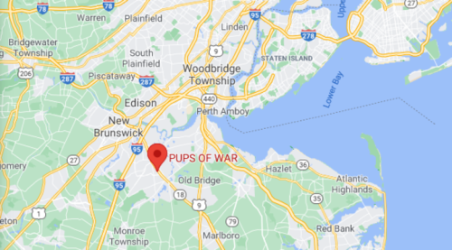 Map showing central New Jersey with a red marker labeled "PUPS OF WAR" near Old Bridge and Perth Amboy.