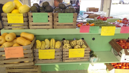 A market display featuring various squashes and vegetables, with colorful price tags on crates.