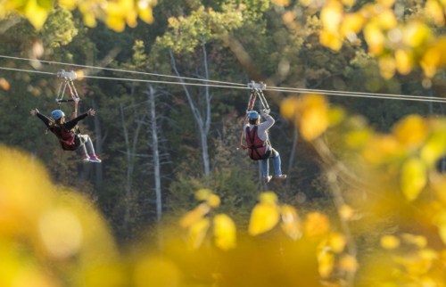 Two people ziplining through a forest with autumn leaves, surrounded by vibrant fall colors.