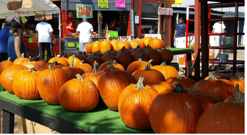 A vibrant market scene with numerous bright orange pumpkins displayed on green grass, surrounded by vendors and shoppers.