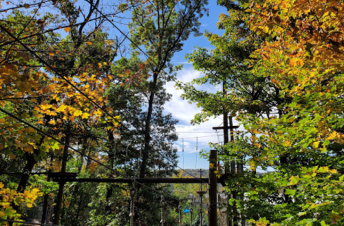 A vibrant autumn scene with colorful leaves and a clear blue sky peeking through the trees.