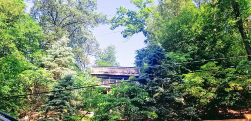 A house partially hidden among lush green trees under a clear blue sky.