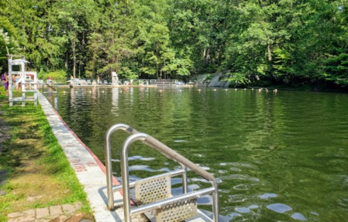A serene swimming area with a diving board, surrounded by trees and people enjoying the water on a sunny day.
