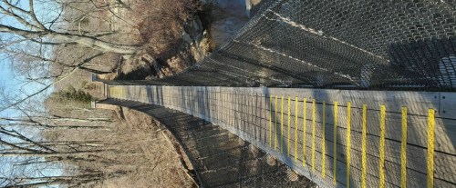 A long suspension bridge with wooden planks and yellow steps, surrounded by bare trees and a river below.