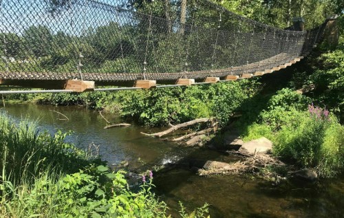 A suspended rope bridge crosses a serene stream, surrounded by lush greenery and trees.