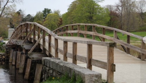 A wooden bridge arches over a calm stream, surrounded by lush greenery and trees in a serene park setting.
