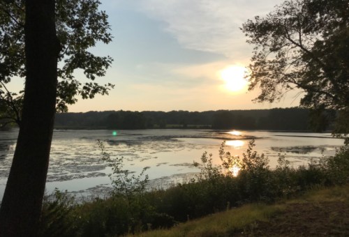 A serene lake at sunset, with trees framing the view and reflections shimmering on the water's surface.