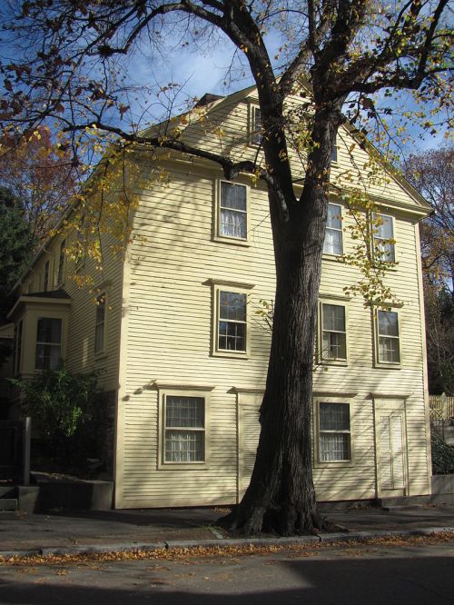 A yellow two-story house with large windows, partially obscured by a tree, set against a clear blue sky.