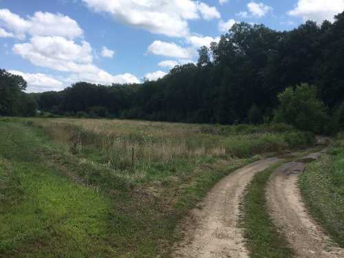 A winding dirt path through a grassy field, bordered by trees under a partly cloudy sky.