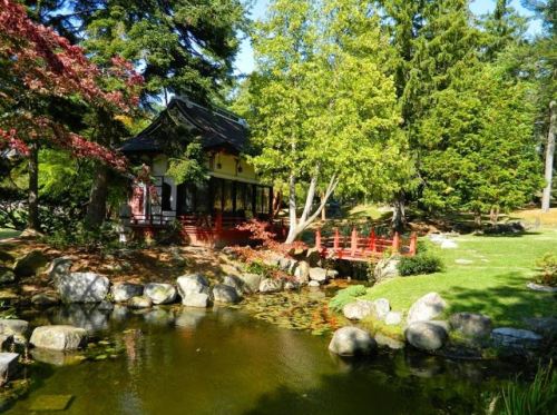A serene garden scene featuring a pond, lush greenery, a traditional building, and a small red bridge.
