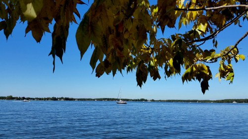 A serene lake scene with a sailboat in the distance, framed by vibrant yellow leaves against a clear blue sky.